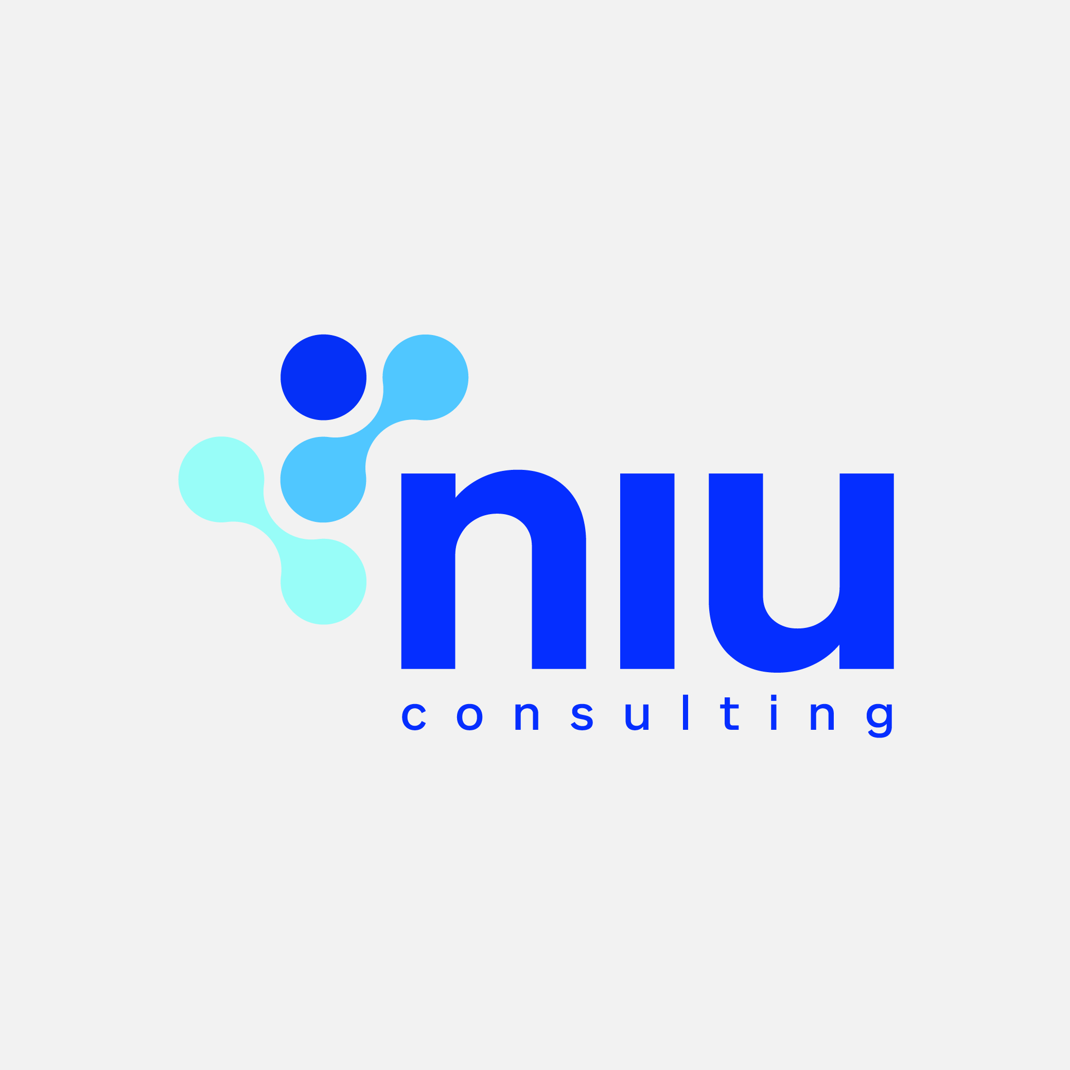 Niu Consulting