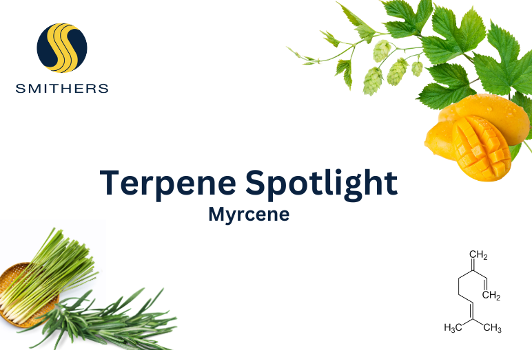 Terpene Spotlight - Myrcene