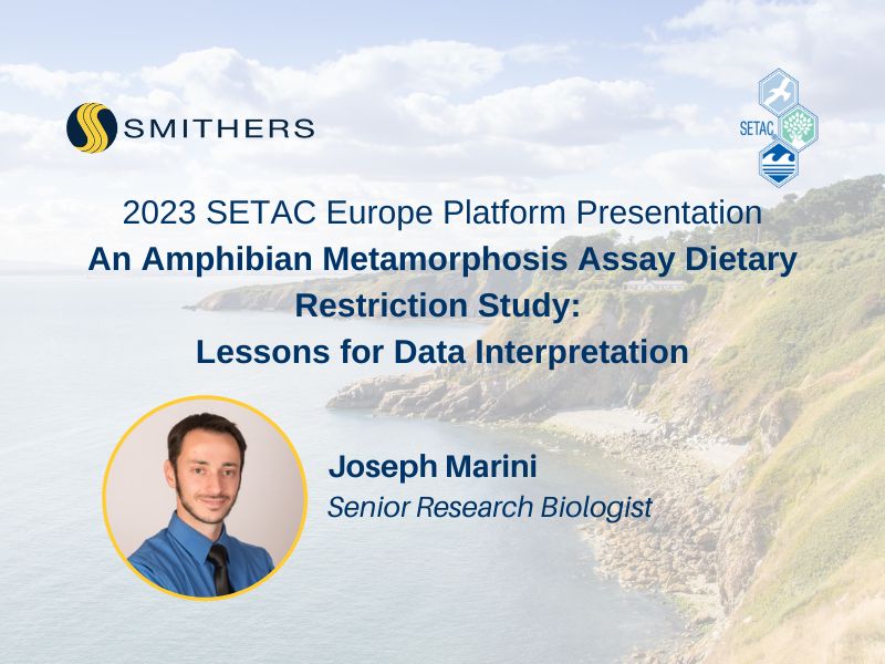 SETAC Europe Platform Presentation: An Amphibian Metamorphosis Assay Dietary Restriction Study