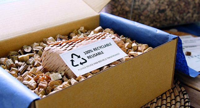 The Future of Sustainable E-commerce Packaging to 2028
