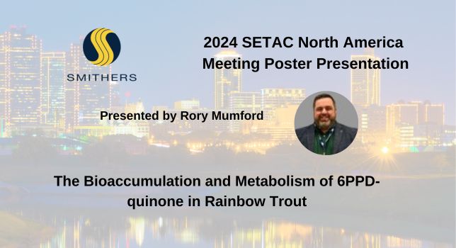 2024 SETAC North America Poster: The bioaccumulation and metabolism of 6PPD-quinone in Rainbow Trout