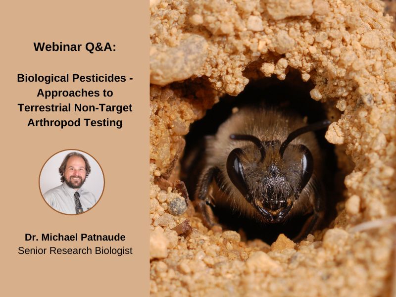 Webinar Q&A: Biological pesticides - Approaches to Terrestrial Non-Target Arthropod Testing